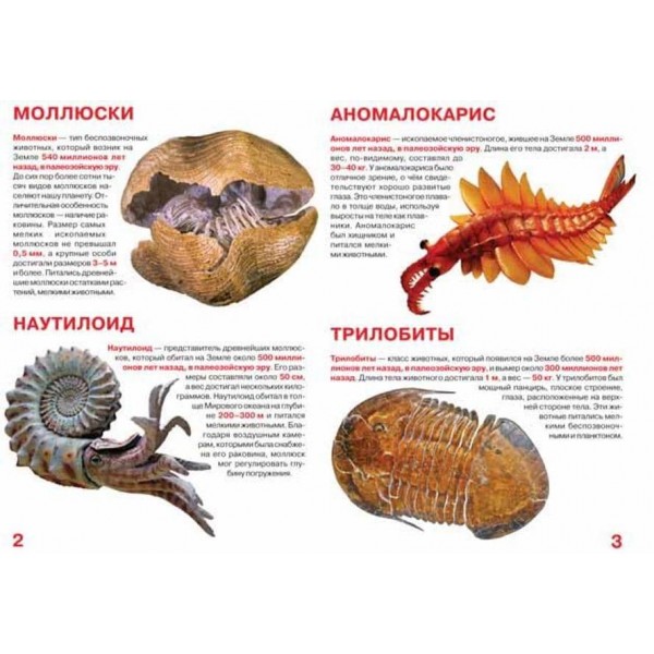 Велика книга. Еволюція життя на Землі (російською мовою)