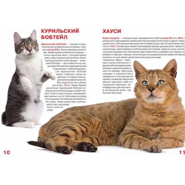 Велика книга. Короткошерсті кішки (російською мовою)