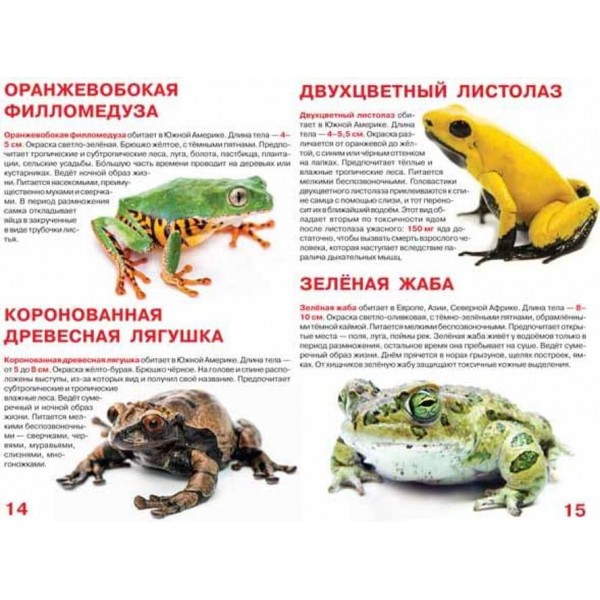 Велика книга. Жаби (російською мовою)
