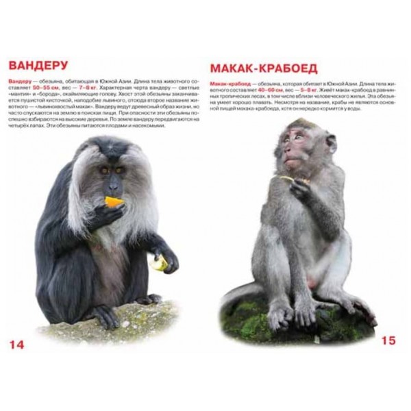 Велика книга. Мавпи (код 0334-4) (російською мовою)