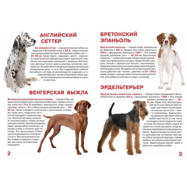Велика книга. Мисливські собаки (російською мовою)