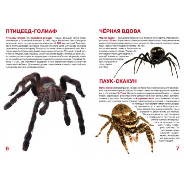 Велика книга. Павуки (російською мовою)
