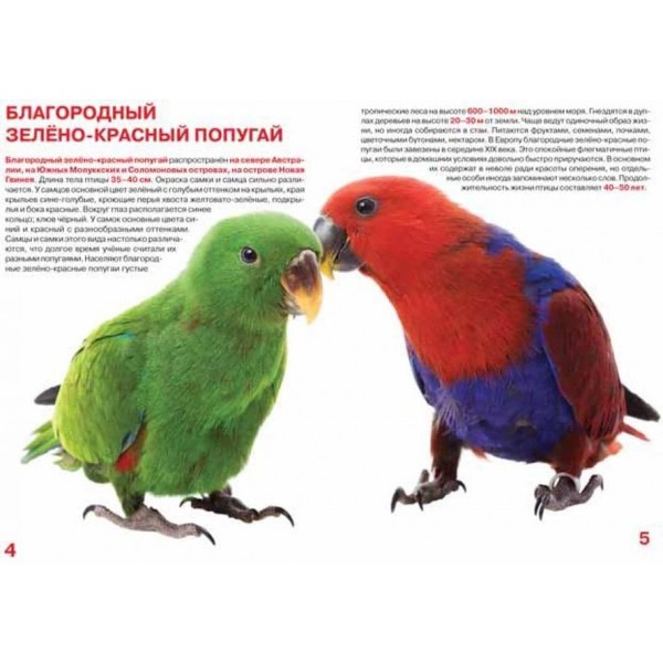 Велика книга. Папуги (російською мовою)