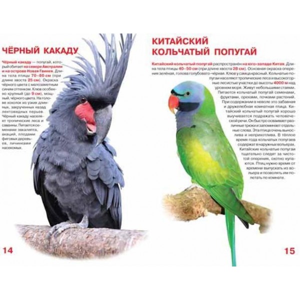 Велика книга. Папуги (російською мовою)