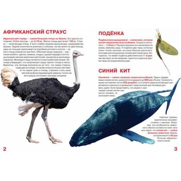 Велика книга. Рекордсмени тваринного світу (код 0377-1) (російською мовою)