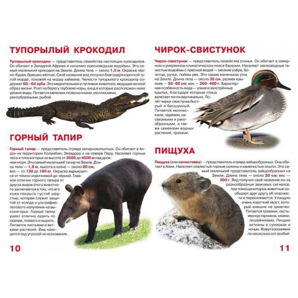 Велика книга. Найменші тварини (російською мовою)