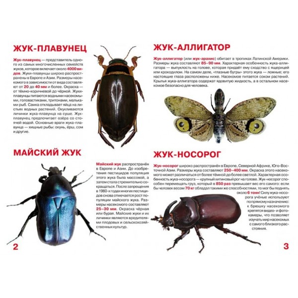 Велика книга. Жуки (російською мовою)