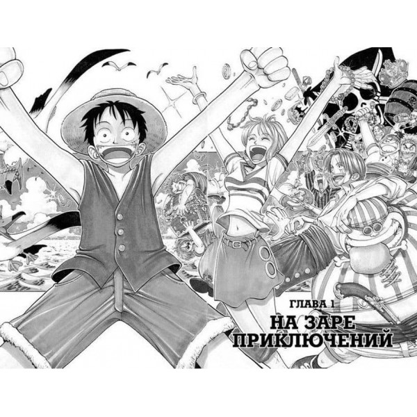 One Piece. Великий куш. Кн.1. На зорі пригод