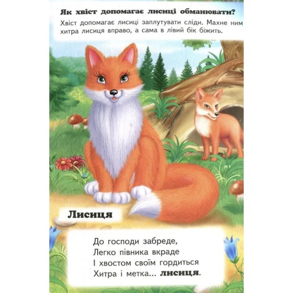 Хто це? У лісі (українською мовою)