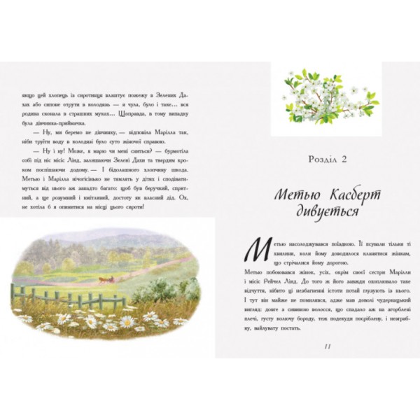Енн із Зелених Дахів (українською мовою)
