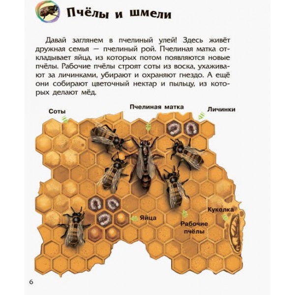 Комахи. Енциклопедія дошкільника (російською мовою)
