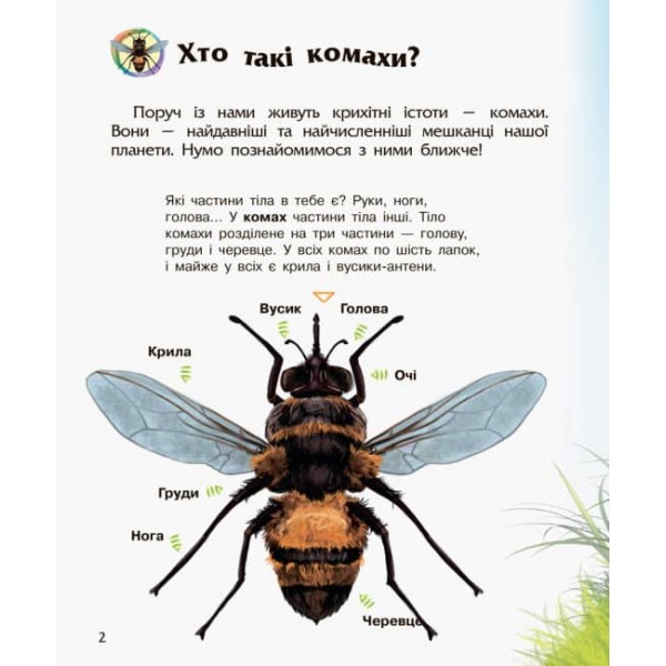 Комахи. Енциклопедія дошкільника (українською мовою)