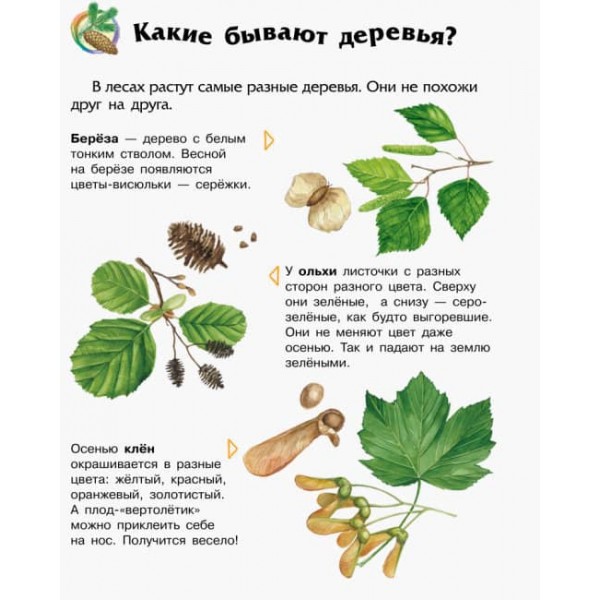 Ліс. Енциклопедія дошкільника (російською мовою)