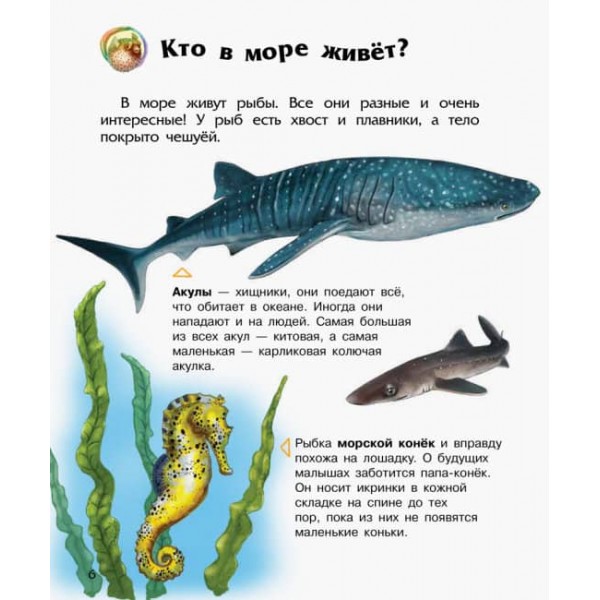 Океани та моря. Енциклопедія дошкільника (російською мовою)