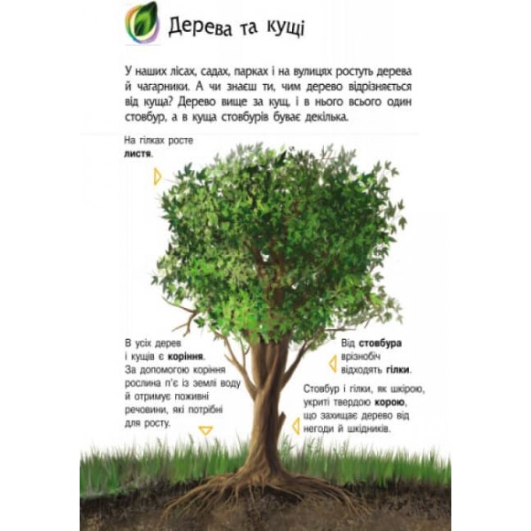 Природа. Енциклопедія дошкільника (українською мовою)