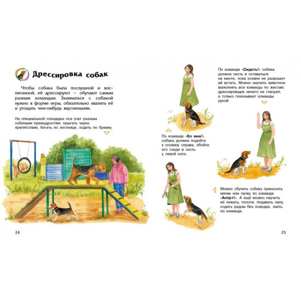 Собаки. Енциклопедія дошкільника  (російською мовою)