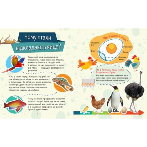 Тварини. Чомусики (українською мовою)