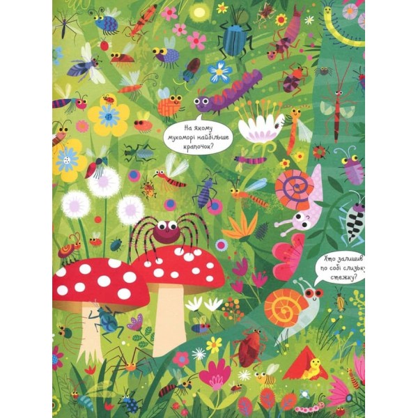 Подивись i знайди. Комахи (українською мовою)