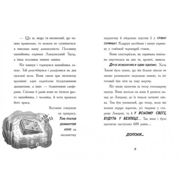 Тото. Кішка-ніндзя і таємниця крадія коштовностей. Книга 4 (українською мовою)