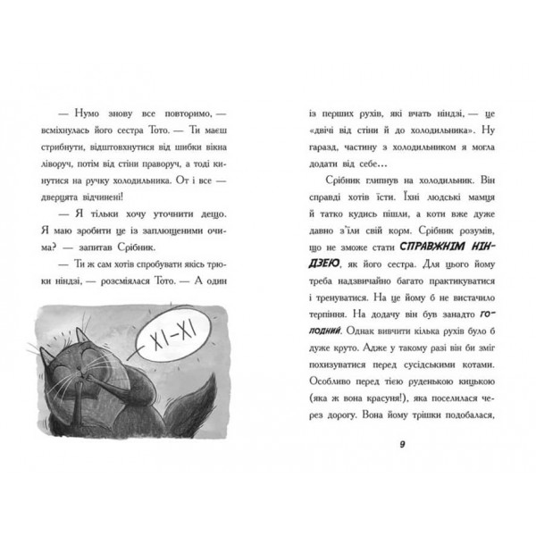 Тото. Кішка-ніндзя та справа про викрадення сиру. Книга 2 (українською мовою)