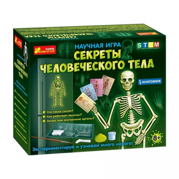 Наукова гра «Секрети людського тіла»